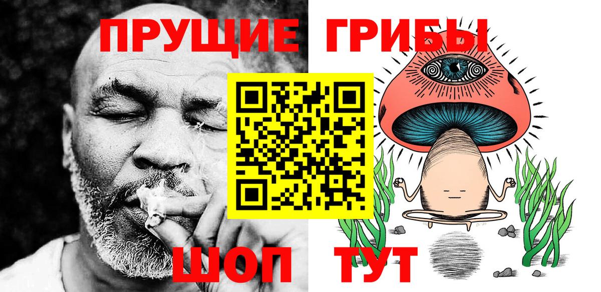 Псилоцибиновые грибы GOLDEN TEACHER  Псилоцибиновые грибы Psilocybine cubensis  Бор  Вход с VPN 