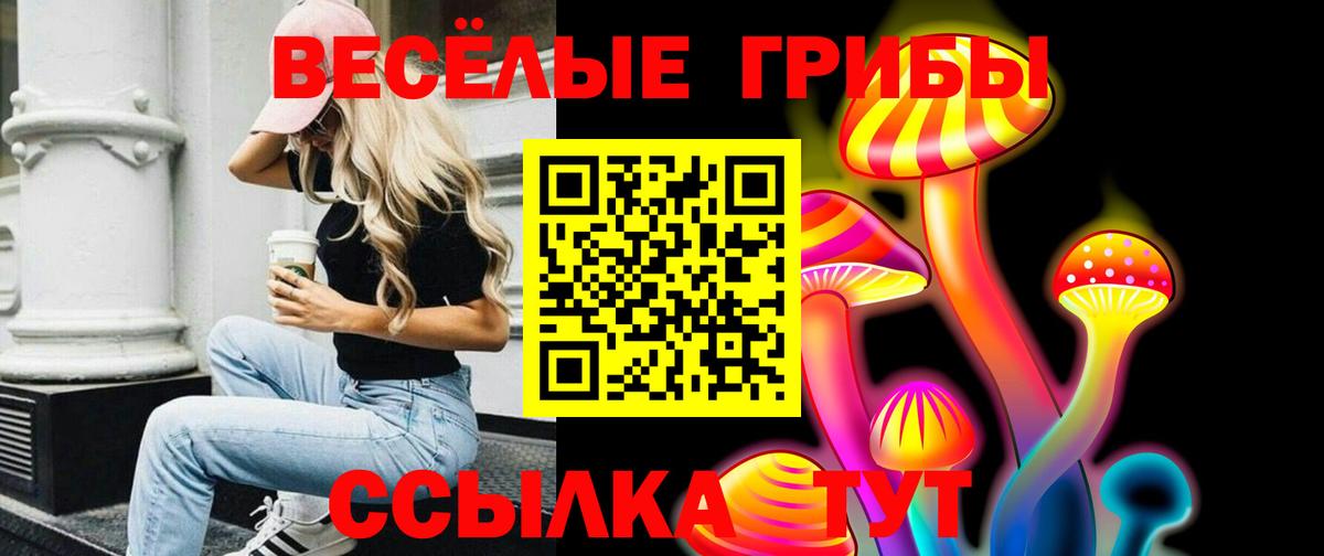Псилоцибиновые грибы Psilocybe Бор